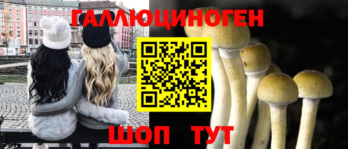 Псилоцибиновые грибы Psilocybine cubensis Карталы