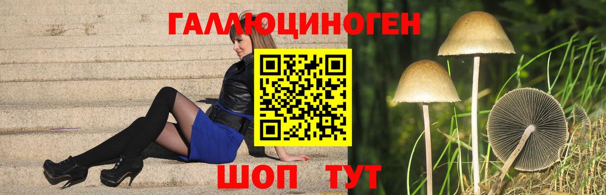 Псилоцибиновые грибы Magic Shrooms  Вход с VPN  Карталы  купить наркотик  Псилоцибиновые грибы Magic Shrooms 